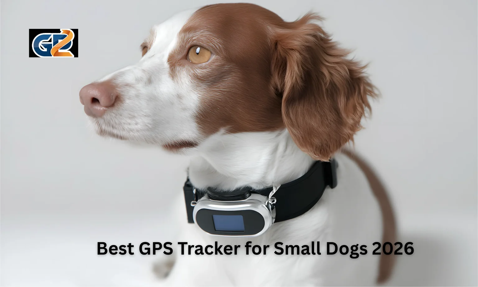 Best GPS Tracker for Small Dogs 2026